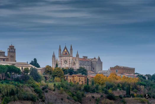 Veduta di una città con una cattedrale gotica al centro, circondata da alberi e edifici storici, sotto un cielo nuvoloso.