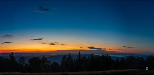 Tramonto con cielo blu e arancione, alberi silhouette in primo piano.