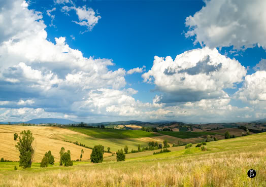 Paesaggio collinare con campi verdi e dorati, alberi sparsi e cielo blu con nuvole bianche.