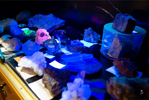 Vari minerali e cristalli illuminati da luce blu su un tavolo.