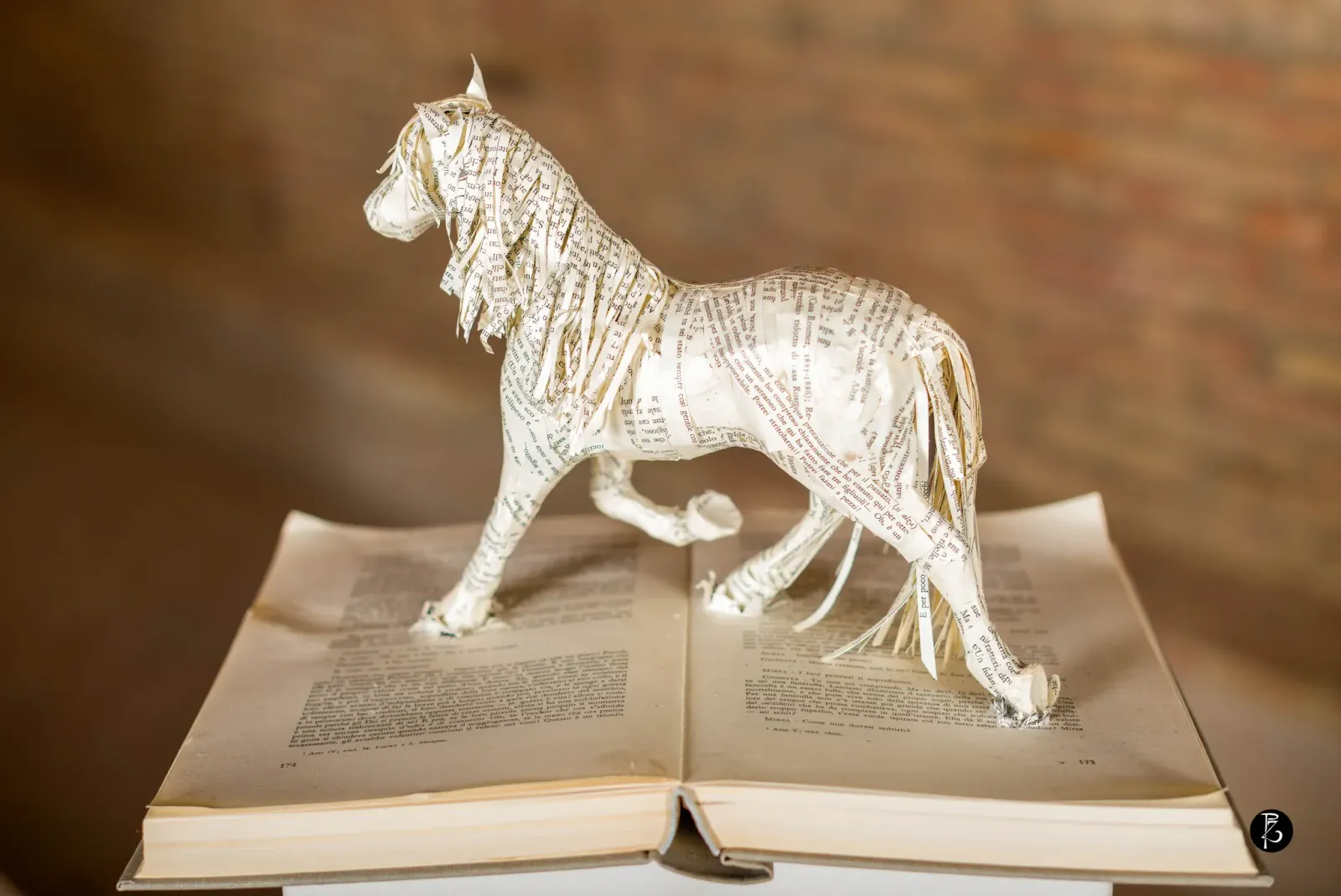 Statua equestre Kossuth — fotografia d’arte Paolo Zuchegna