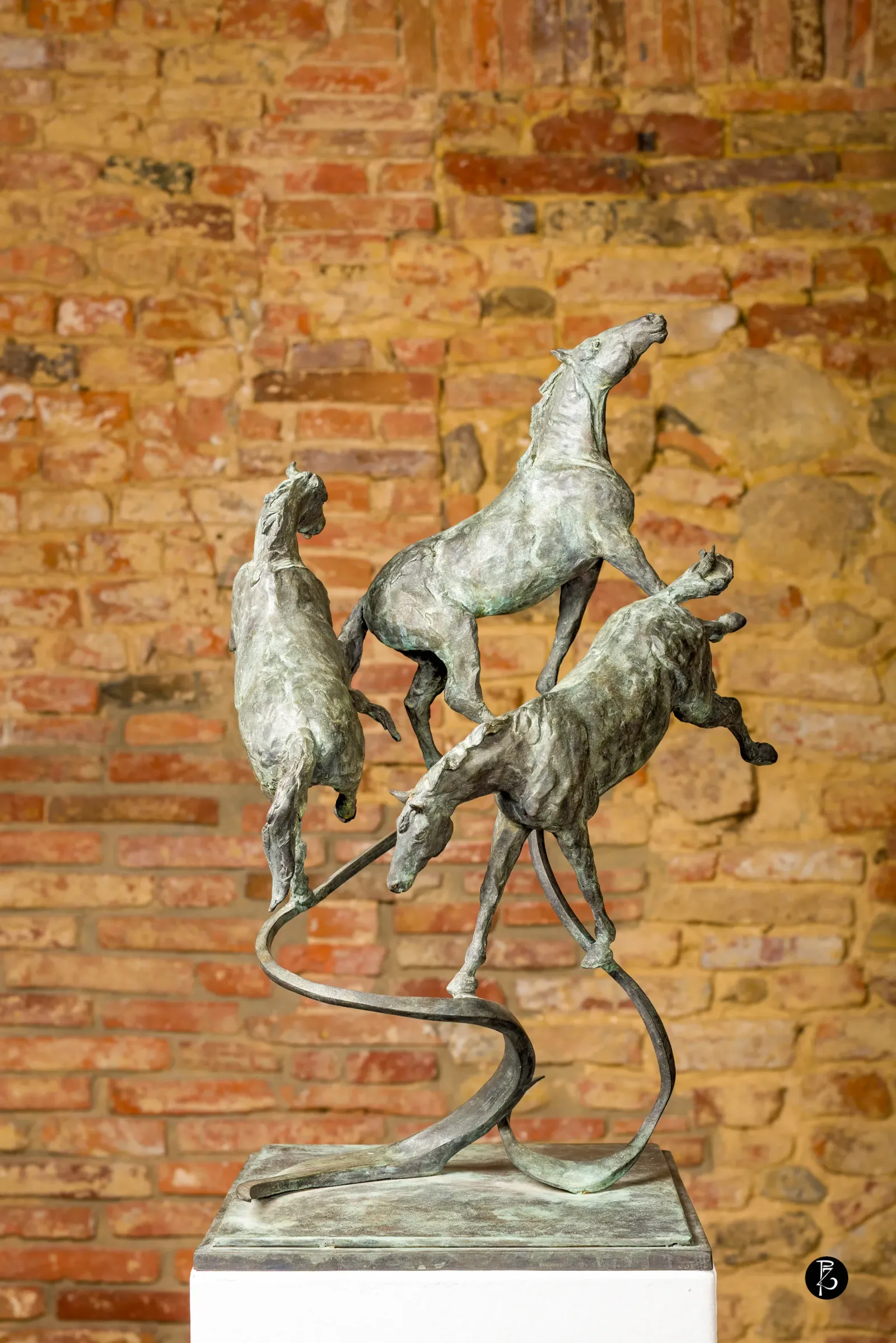 Statua equestre Kossuth — fotografia d’arte Paolo Zuchegna