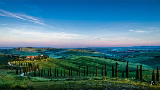 Paesaggio collinare con cipressi, campi verdi e cielo blu al tramonto.