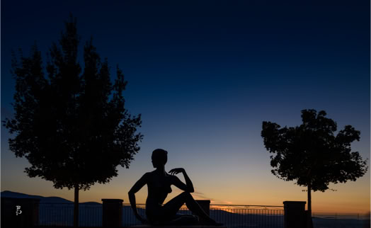 Silhouette di una persona seduta tra due alberi al tramonto.