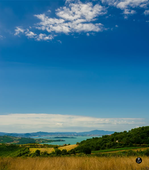 Paesaggio collinare con campi verdi e gialli, un lago in lontananza e cielo azzurro con alcune nuvole.