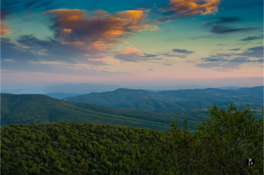 Paesaggio collinare con vegetazione verde in primo piano, montagne all'orizzonte e cielo con nuvole colorate al tramonto.