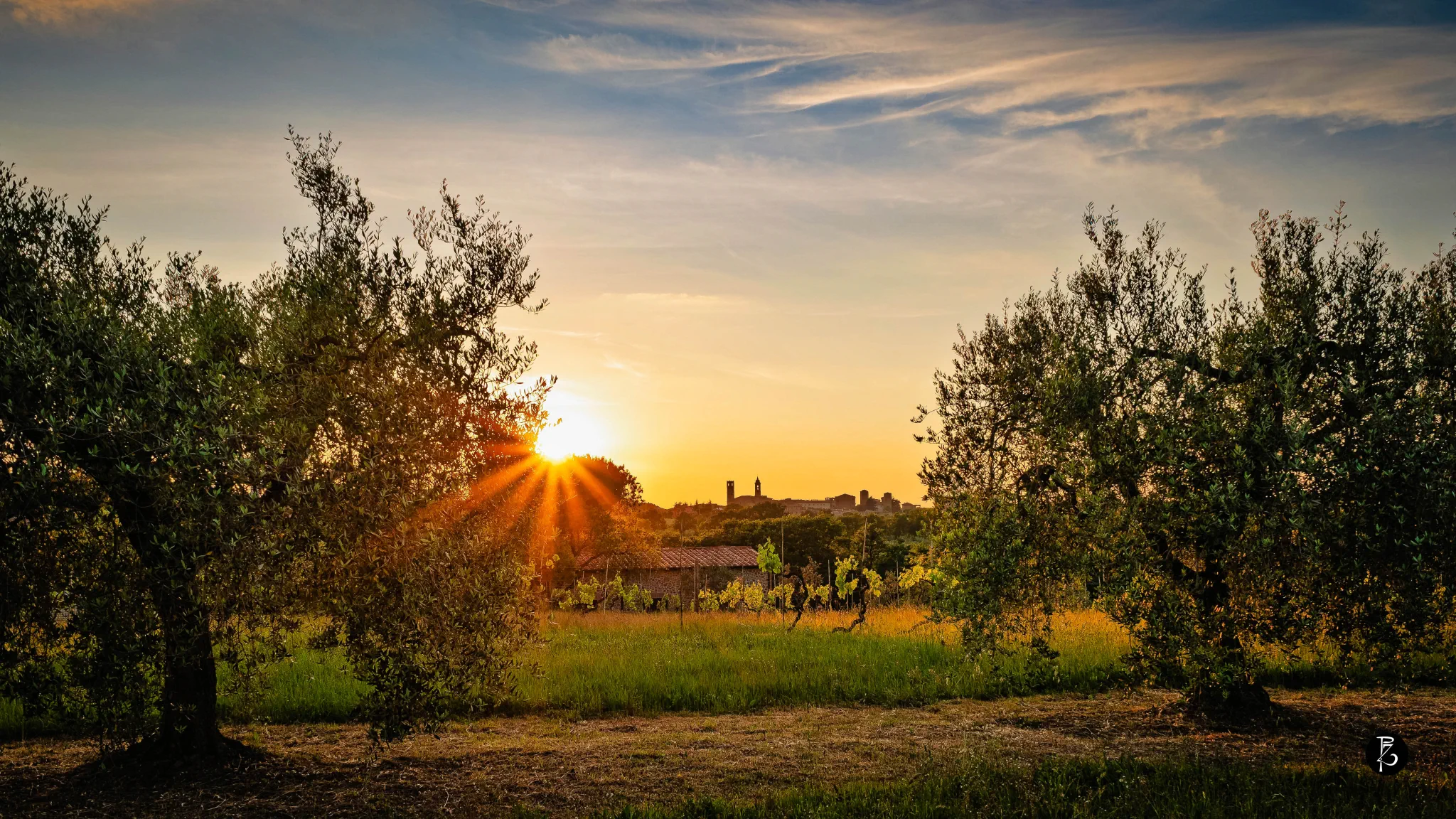 Portfolio fotografico professionale Paolo Zuchegna a Città della Pieve in Umbria